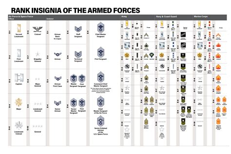 Us Air Force Rank Insignia For Officers And Enlisted In Vector Stock