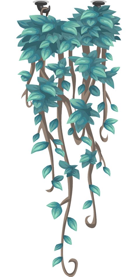 Creeper Hanging Plant Hanging Png Picpng