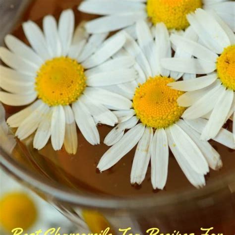Herbal teas made from leaves and flowers should stand/steep for 5 minutes. How To Make Chamomile Tea Taste Better - Best Chamomile ...