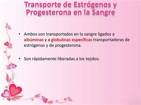 Estrógenos Y Progesterona Fisiología Humana Ppt