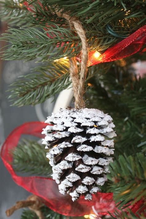 Pine Cones Decorations