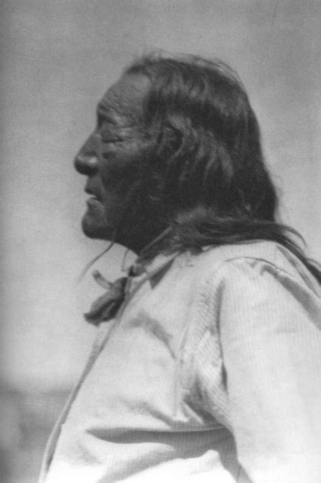 Unidentified Lakota Woman And More American