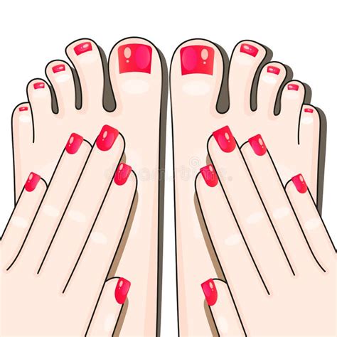 Pedicure Female Fingers Vector Illustration Of Female Feet Isolated On