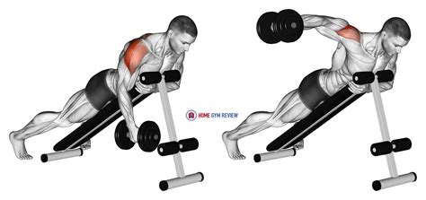 Dumbbell Lying One Arm Rear Lateral Raise Home Gym Review