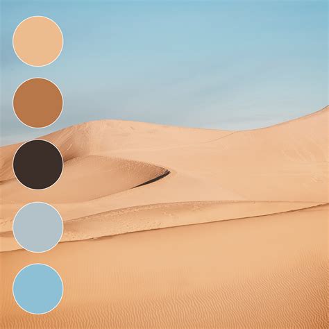 Desert Sun Color Palette Inspiration Western Color Pa
