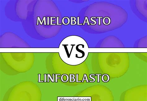Diferença Entre Mieloblasto E Linfoblasto