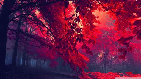 47 Red Hd Wallpapers 1080p