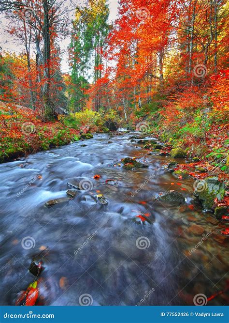 Rapid Mountain River In Autumn Stock Photo Image Of Rural Plants