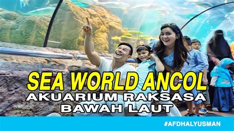 Seaworld Ancol I Tempat Wisata Di Jakarta Youtube
