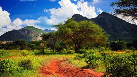 Savanna Panorama Landscape In Africa High Quality Nature Stock Photos