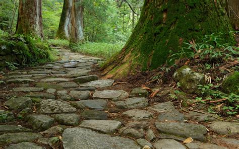 Pin By Ryou On Retina Wallpapers Fantasy Forest Pathways Stone Path