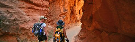 Bryce Canyon And Zion Walking And Hiking Tours Utah Backroads