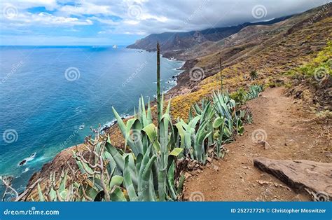 Panoramic View Of The Coastline Of The Anaga Mountain Range On Tenerife