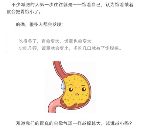 胃会越撑越大，越饿越小吗？了解好答案，或能让你减肥不走弯路