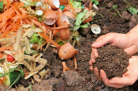 25 Natural Ingredients To Prepare A Healthy Organic Compost How To