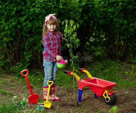 Happy Girl Planting Tree Stock Image Image Of Help Kids 72103285