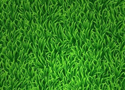 Cartoon Grass Grass Vector Grass Background Green Grass Background