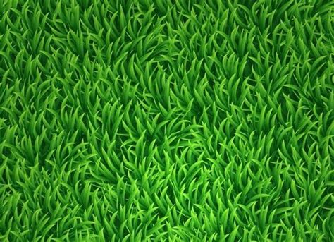 We did not find results for: Cartoon Grass | Game Textures | Pinterest | Grasses and ...