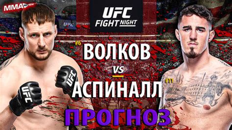 БОЙ Александр Волков vs Том Аспинелл на UFC London РАЗБОР ТЕХНИКИ и