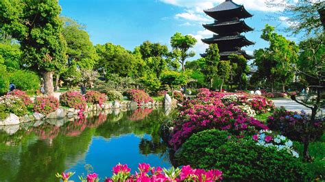 Kyoto Natural Japan Tourism Cool Places To Visit