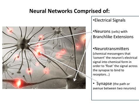 Heres To Neural Networks And Neurotransmitters Keys To Brain And