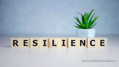 How To Master The Key Life Skill Of Resilience Success Mystic