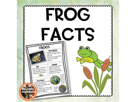 Frog Fact Sheet Teaching Resources