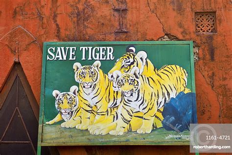 Save Tiger Poster At Ranthambhore Stock Photo