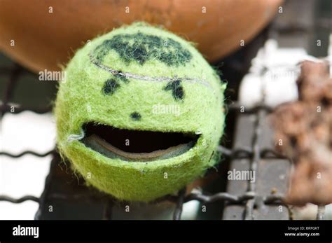 legitim kontinuierlich ruhe funny tennis balls ausspucken einverstanden mit schick