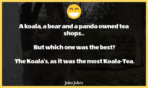 30 Panda Bears Jokes To Make Fun Jokojokes