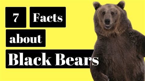 Pin On Facts About The Smokies