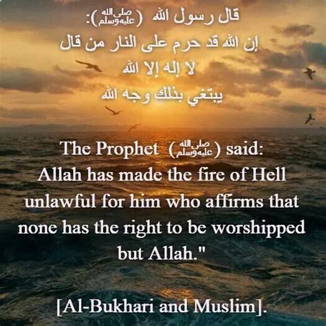 Hadith And حديث Hadeeth Allah Love Islamic Quotes