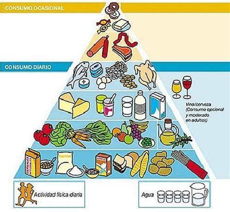 Las Guías Alimentarias Herramienta De Promoción De La Salud