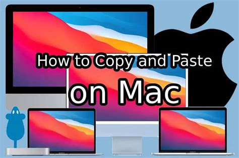 Mastering The Basics How To Copy And Paste On Mac Catalyst Computers