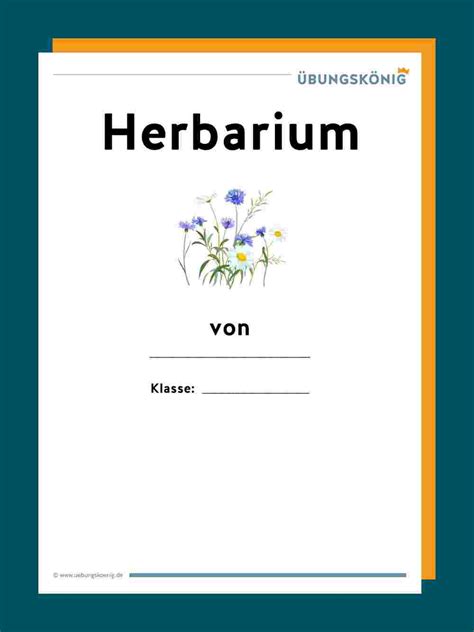 Ein herbarium als schulprojekt in grundschule und an . Herbarium Beschriftungsvorlage Muster - kinderbilder ...