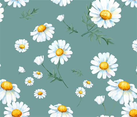 Hand drawn white common daisy pattern - Download Free Vectors, Clipart