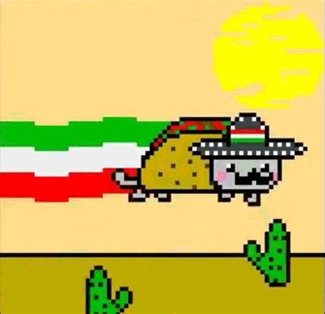 This Is Awesome Nyan Cat Taco Cat Pusheen Cat