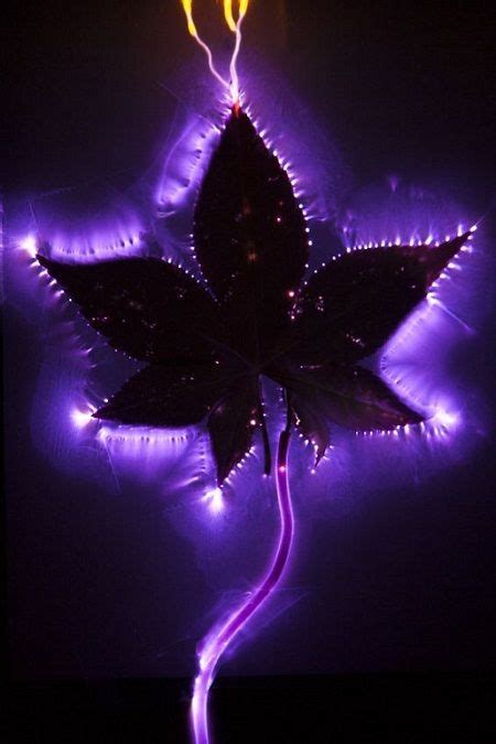 Kirlian Photography Leaf Kirlian Photography Types Of Photography
