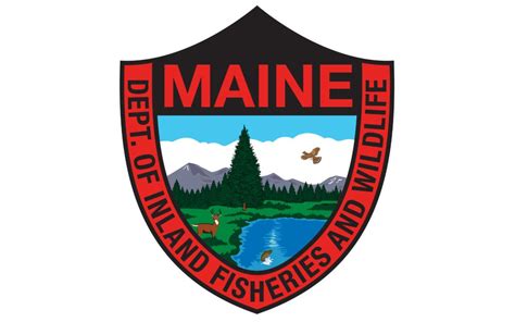 Maine Difandw Commissioner Names Communications Chief