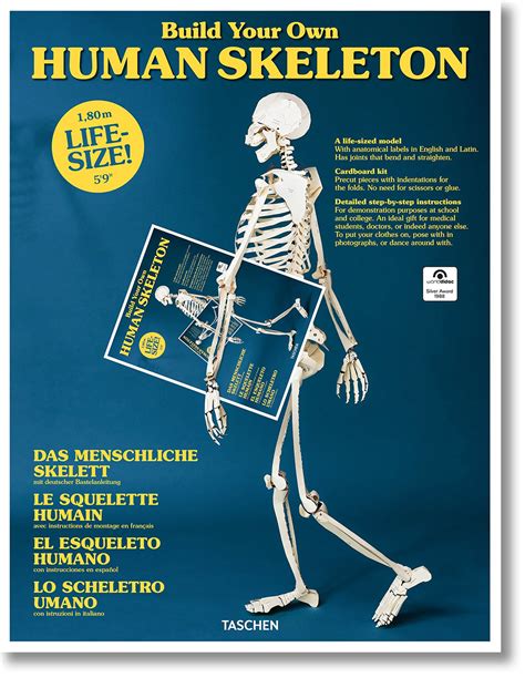 Diy Life Size Papercraft Skeleton