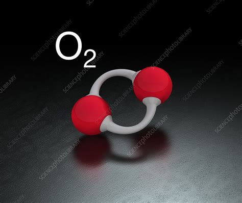 Oxygen Molecule Illustration Stock Image C0388414 Science Photo