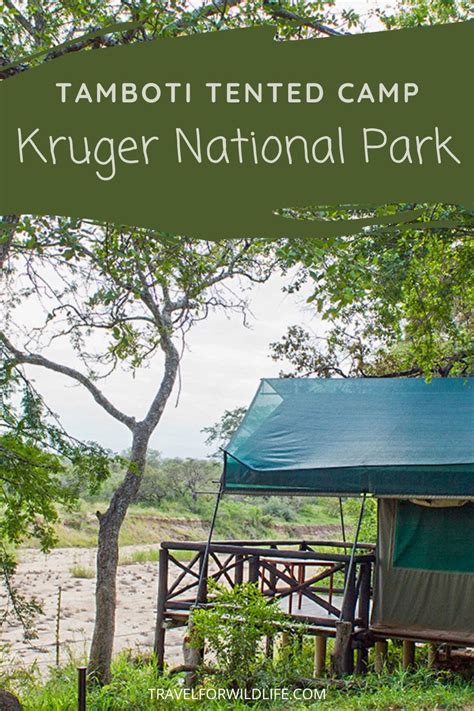 Tamboti Tented Camp Kruger National Park In 2023 Tent Camping