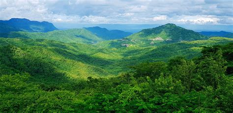 Beautiful Landscape Of Mountain Green Forest Or Deep Jungle With