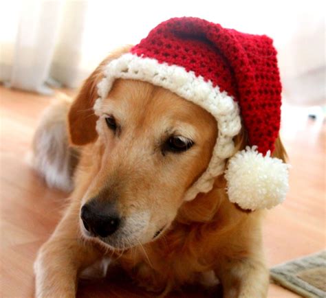 Santa Hat For Dogs Doggy Santa Hat Holiday Dog Hat Christmas Hat For