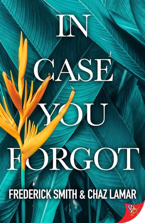 in case you forgot by chaz lamar cruz and frederick smith bold strokes books