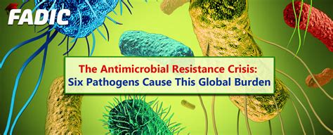 six bacteria cause the antimicrobial resistance the global threat