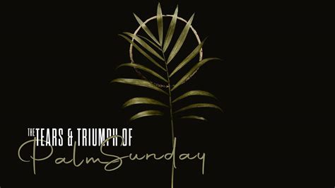 The Tears And Triumph Of Palm Sunday Calvary Online Worship Experience