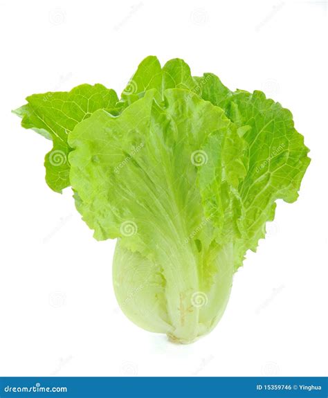 Lettuce Stock Photo Image Of Gourmet Natural Close