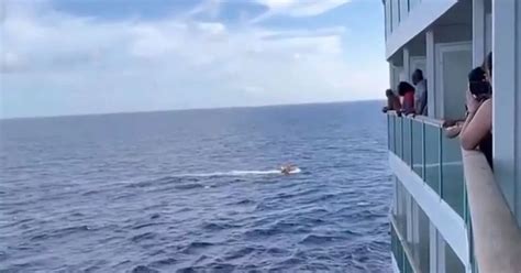 Holy Crap Horror As Woman Plummets Overboard Into Ocean From 10th Deck Of Cruise Ship