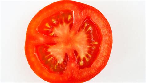 Anatomy Of A Tomato Plant Garden Guides